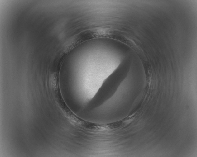 X0000067350715200603311152