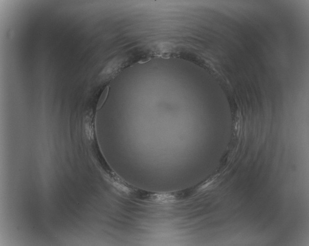X0000067350719200603311152