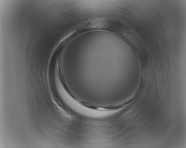X0000067350722200603311151