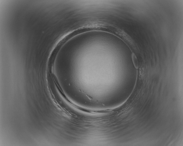 X0000067350724200603311151