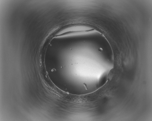 X0000067350731200603311151