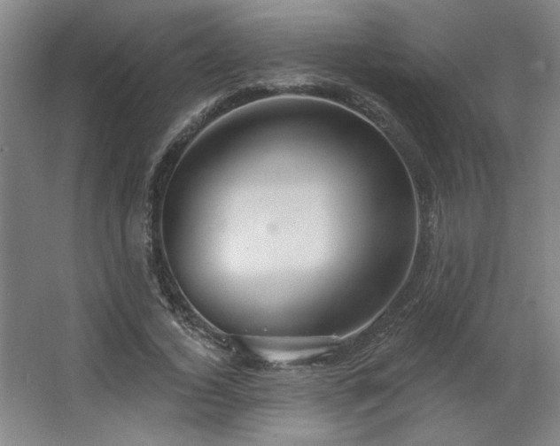 X0000067350732200603311151