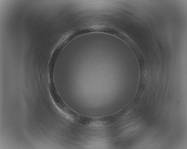 X0000067350734200603311151