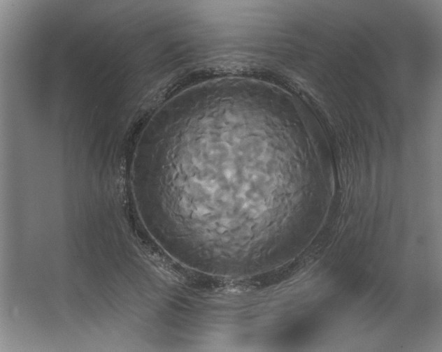 X0000067350737200603311151