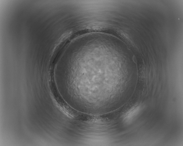 X0000067350738200603311151