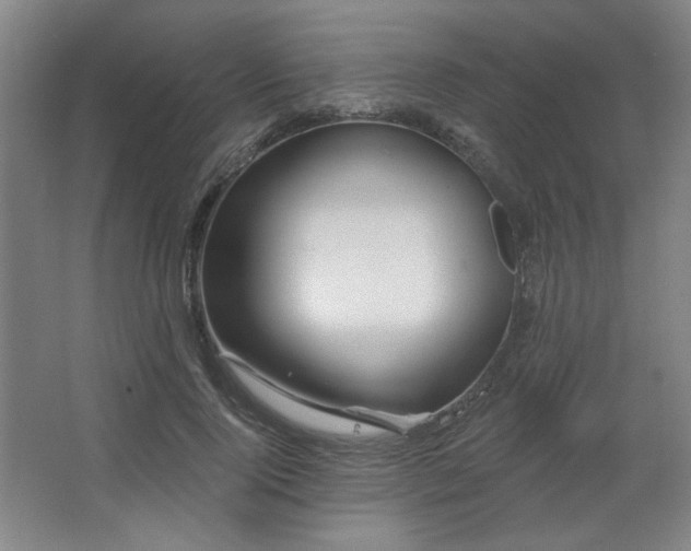 X0000067350740200603311151