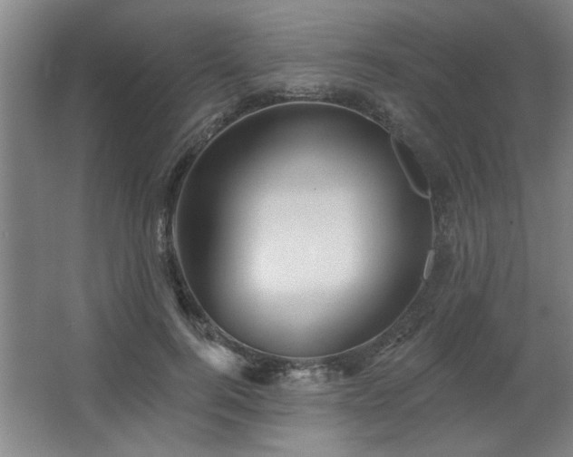 X0000067350744200603311152