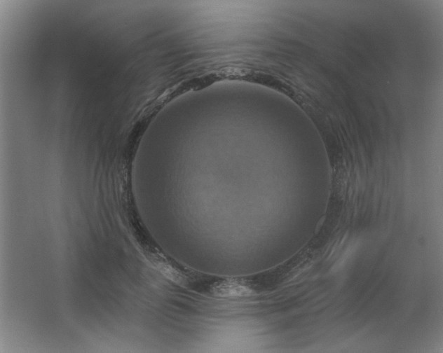 X0000067350747200603311152