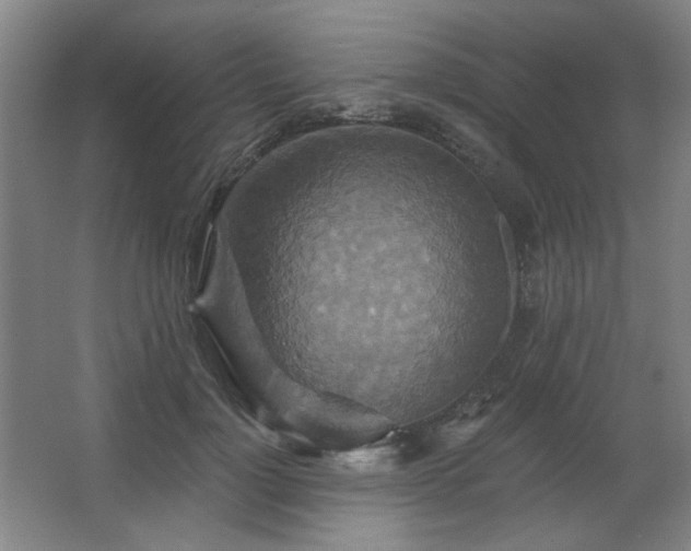 X0000067350748200603311152