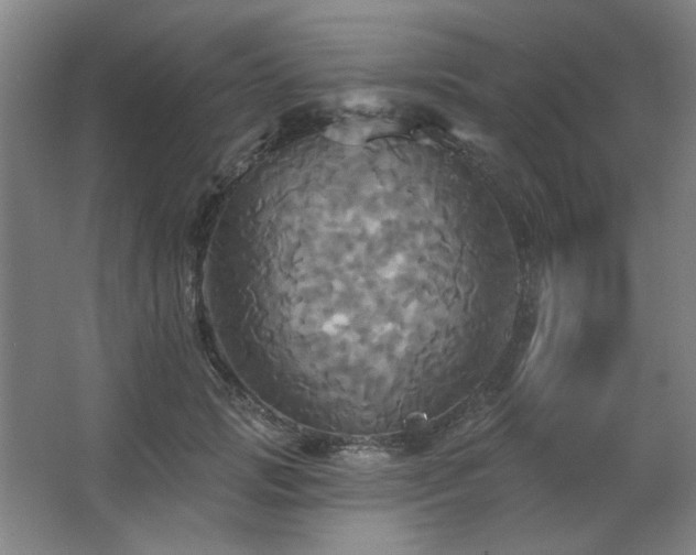 X0000067350749200603311152