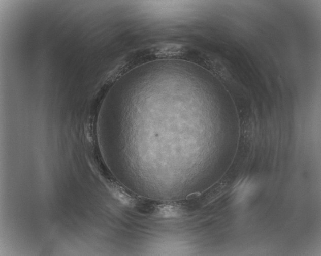 X0000067350755200603311152