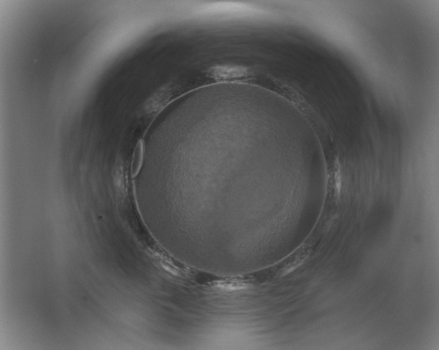 X0000067350763200603311152