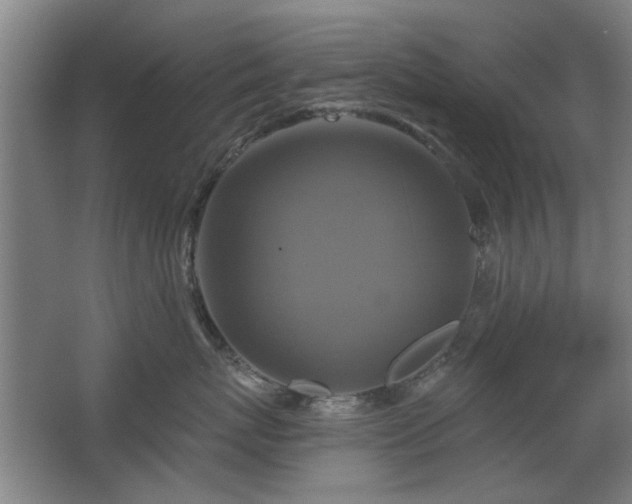 X0000067350767200603311152