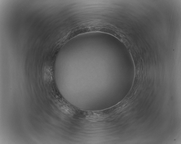 X0000067350772200603311151