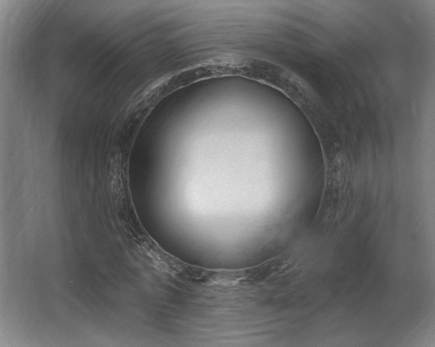 X0000067350773200603311151
