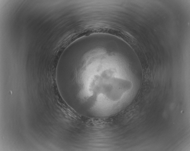 X0000067350774200603311151