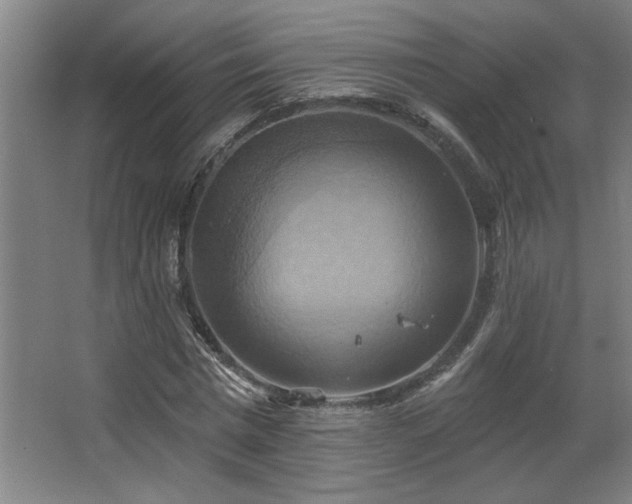 X0000067350777200603311151