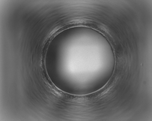 X0000067350778200603311151