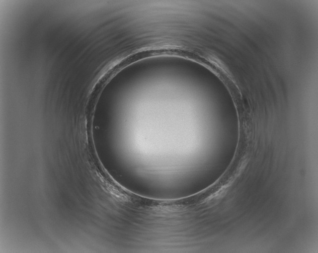 X0000067350781200603311151