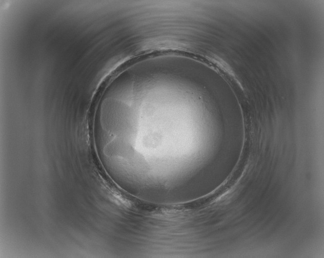 X0000067350782200603311151
