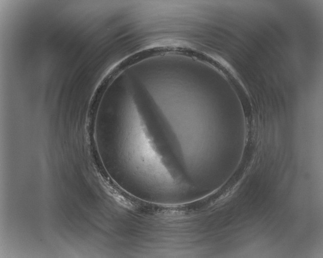 X0000067350783200603311151