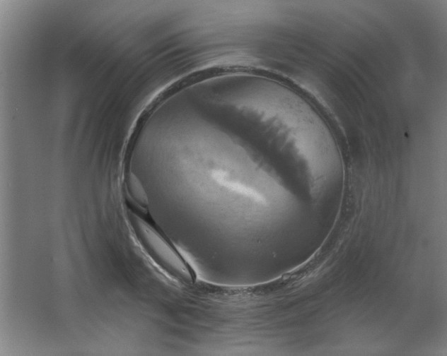X0000067350791200603311151