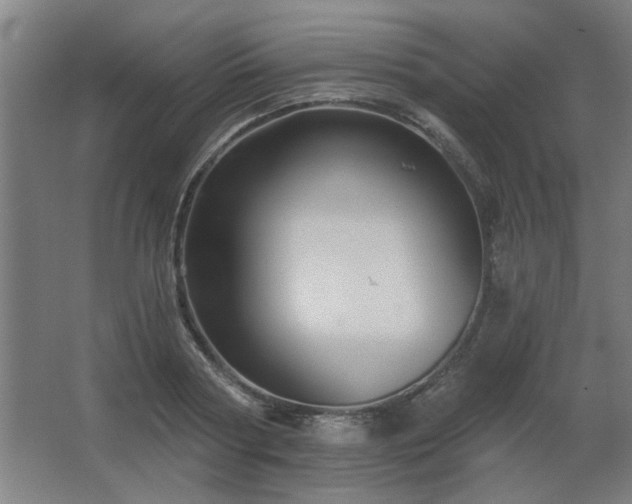 X0000067350794200603311151