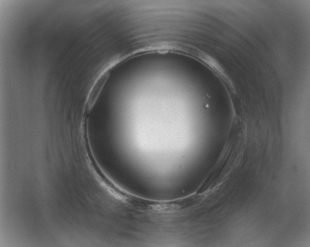 X0000067350805200603311151