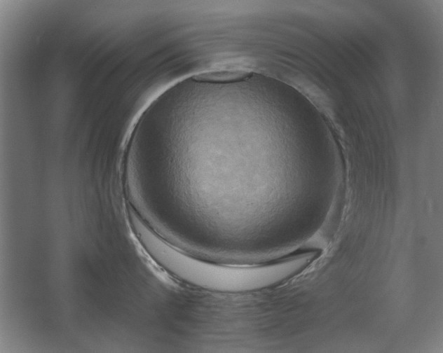 X0000067350816200603311150