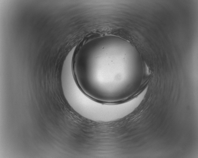 X0000067350818200603311150