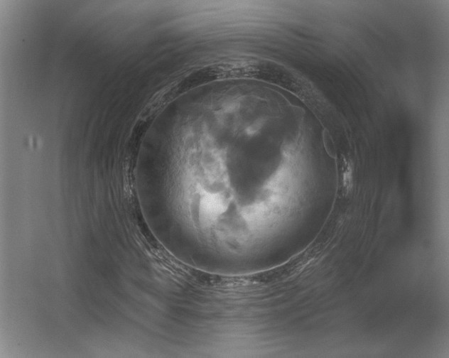 X0000067350819200603311150