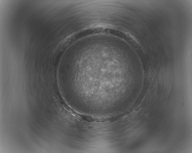 X0000067350821200603311150