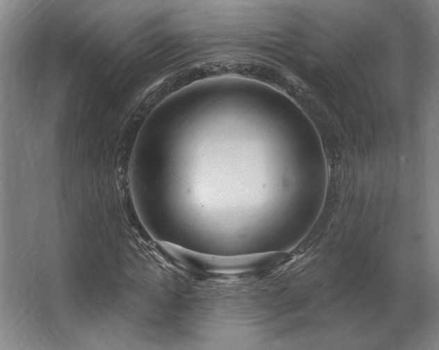 X0000067350822200603311150
