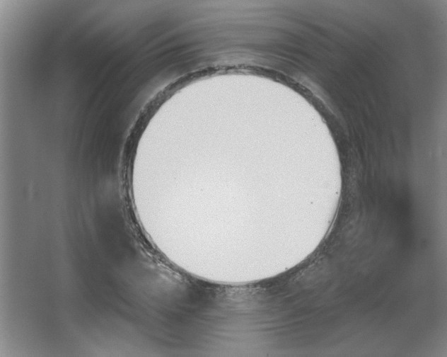 X0000067350832200603311150