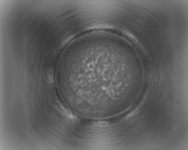 X0000067350833200603311150