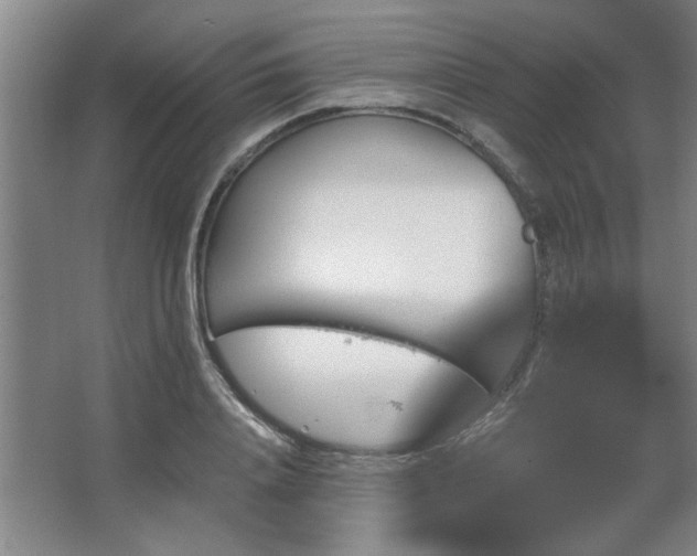 X0000067350840200603311150