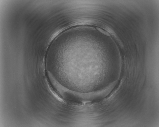 X0000067350842200603311150