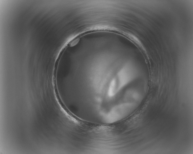 X0000067350847200603311150