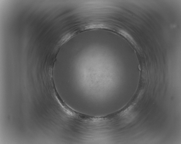 X0000067350849200603311150