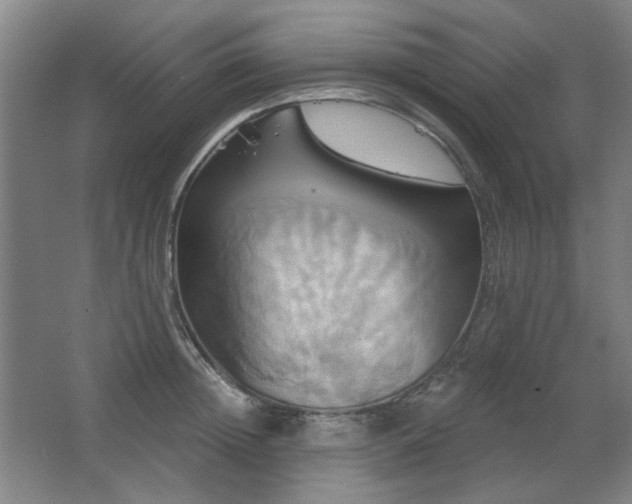 X0000067350852200603311150