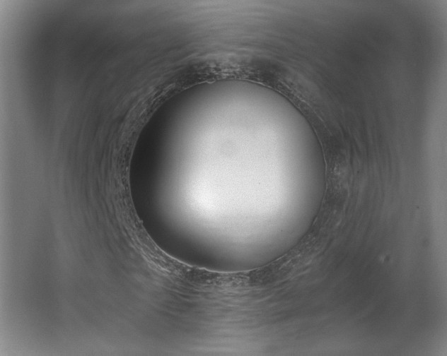 X0000067350865200603311149