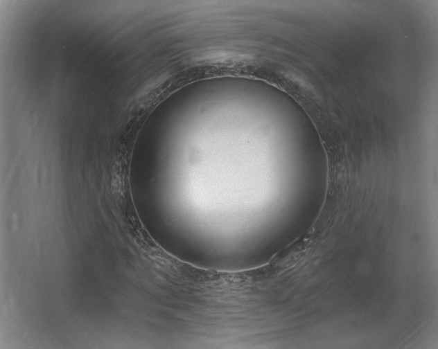 X0000067350869200603311149