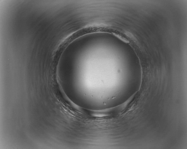 X0000067350872200603311149
