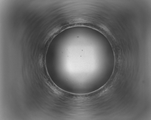 X0000067350873200603311149