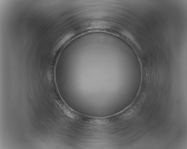 X0000067350874200603311149