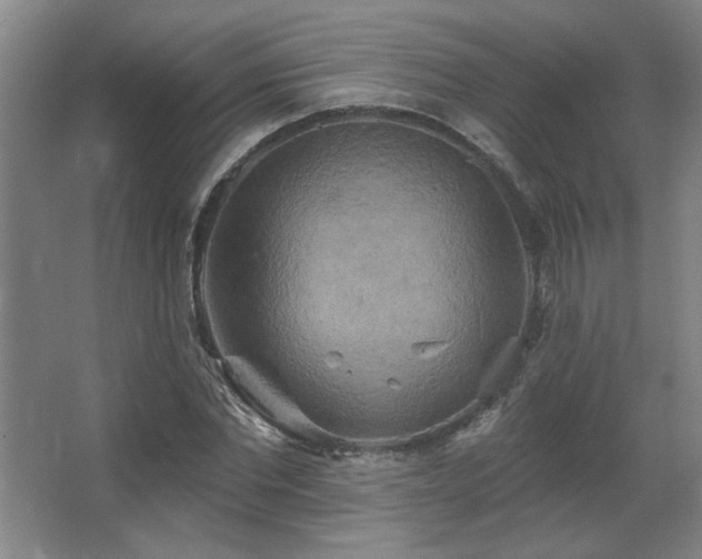 X0000067350877200603311149