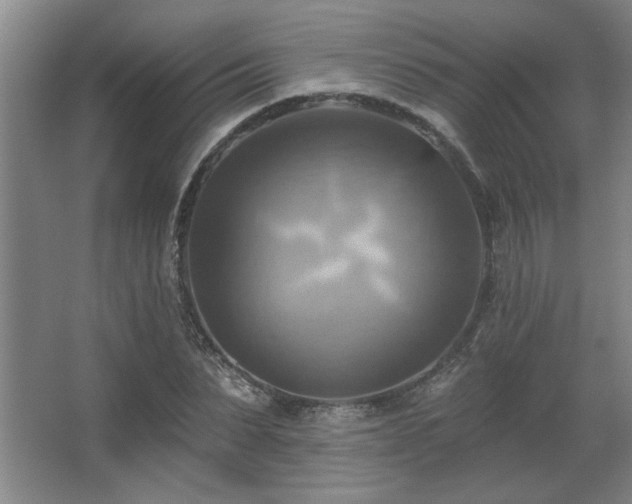 X0000067350879200603311149