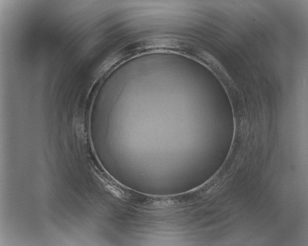 X0000067350882200603311149