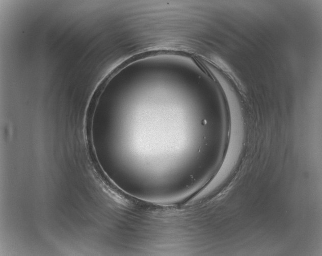 X0000067350884200603311149