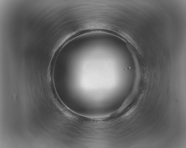 X0000067350885200603311149